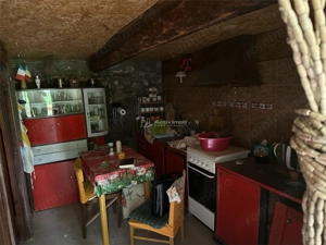 Casa Cocheta de vacanta, Com. Dognecea - imagine 16