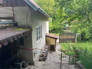 Casa Cocheta de vacanta, Com. Dognecea - imagine 19