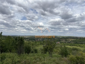 TEREN INTRAVILAN  | 1.824 MP  | DEALURI  | ORADEA - imagine 2