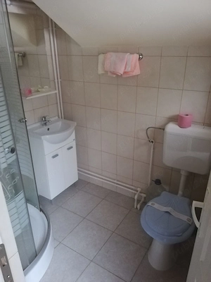 Vila Sergiu Râușor | 150 m de pârtia de schi | 8 camere cu băi proprii | Parcul National Retezat - imagine 7