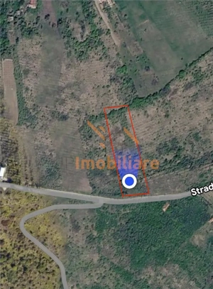 TEREN INTRAVILAN  | 1.824 MP  | DEALURI  | ORADEA - imagine 4