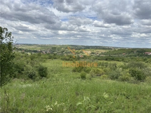 TEREN INTRAVILAN  | 1.824 MP  | DEALURI  | ORADEA - imagine 3