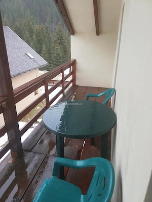 Vila Sergiu Râușor | 150 m de pârtia de schi | 8 camere cu băi proprii | Parcul National Retezat - imagine 5