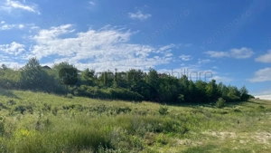 De vânzare teren intravilan, 4,152 mp, Sânmartin - imagine 5