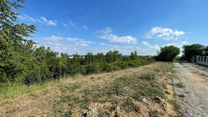 De vânzare teren intravilan, 4,152 mp, Sânmartin - imagine 3