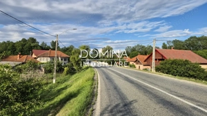 Vânzare proprietate situată în comuna Bengești-Ciocadia, sat Bălcești - imagine 10