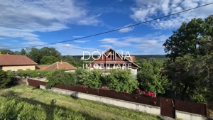 Vânzare proprietate situată în comuna Bengești-Ciocadia, sat Bălcești - imagine 9