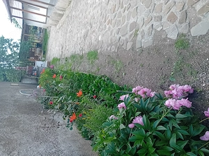 Vând casa in Haghig - imagine 3