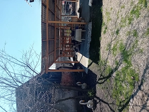 Vând casa in Haghig - imagine 10