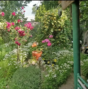 Direct proprietar, vând apartament la casa zona rezidențială  - imagine 7