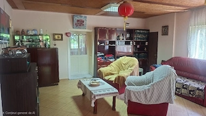 PROPRIETAR- vand casa masiva, situata central - imagine 2