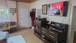 Proprietar- casa masiva cu teren mare, la 30 km de Timisoara  - imagine 3