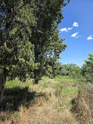 9200 mp in centrul comunei Ghilad - imagine 9