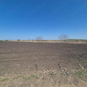 GRADISTEA - Sat Sitaru, teren agricol 11.961mp, ideal investitie - imagine 6