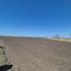 GRADISTEA - Sat Sitaru, teren agricol 11.961mp, ideal investitie - imagine 7
