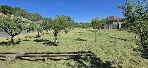 Gospodarie + teren agricol, Jiana Mare, jud. Mehedinți - imagine 9