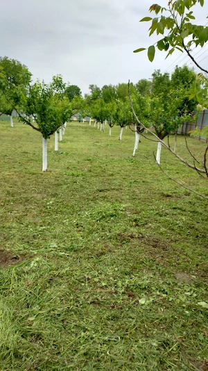 Gospodarie + teren agricol, Jiana Mare, jud. Mehedinți - imagine 8