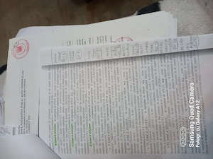 Vând teren extravilan Costinești lotizat