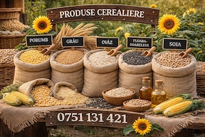 Vând porumb , grâu , ovăz , floarea soarelui și soia 