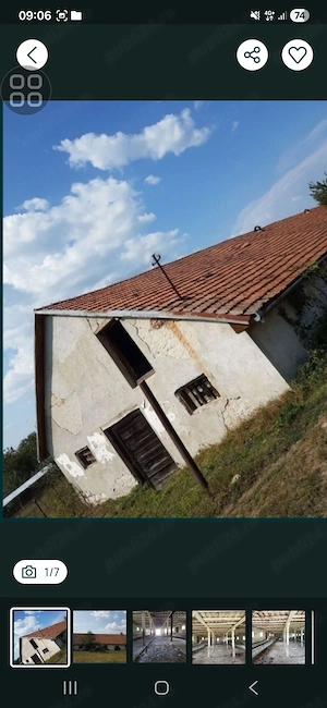 Vand grajd Galdau,Calarasi
