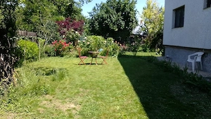 apartament 2 camere Snagov Închiriere termen lung  - imagine 3