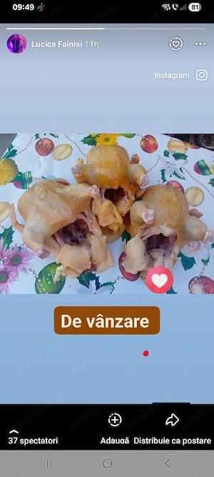 De vânzare 