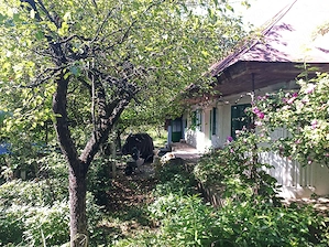 casa Itesti judetul Bacau