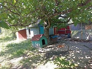 casa Itesti judetul Bacau - imagine 5