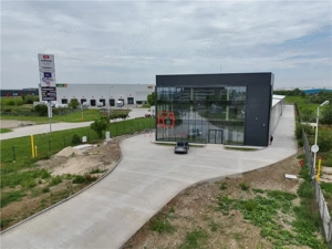 Inchiriere depozit hala spatiu industrial showroom Chitila - Centura, ILFOV - imagine 6