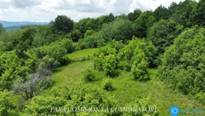 TEREN 19.822 MP, CADRU NATURAL MINUNAT - imagine 8