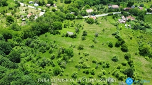 TEREN 19.822 MP, CADRU NATURAL MINUNAT - imagine 6