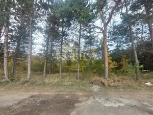 TEREN DE VANZARE 2000 MP IN VECINATATEA RAFO CU DESHIDERE LA SOSEAUA INDUSTRIILOR