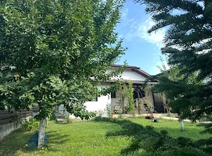 Buftea-Samurcasi - imagine 2