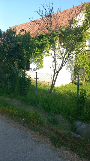 Teren 2588 mp + casă | Deschidere 58,59 m | COLȚ   2 străzi | Pietrarii de Jos, Vâlcea - imagine 8