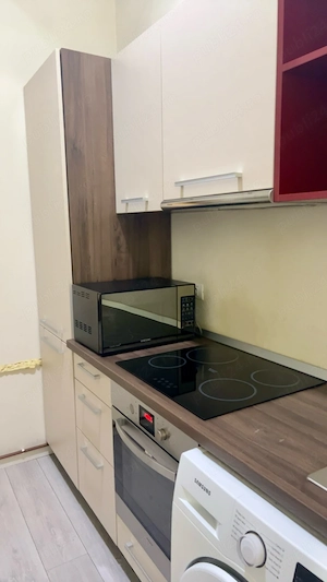 Apartament Pets Unirii Victoriei Libertatii Centru Marasti Bastion Cetate Medicina Take Politehnica - imagine 5