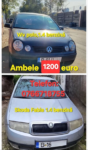 Volkswagen Polo și Skoda Fabia ambele 1200E