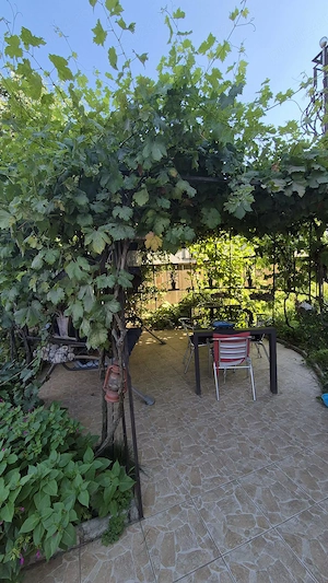 Vand casa Navodari   