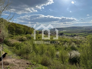 Teren intravilan – 1.450 mp | Jucu de Sus, marginea pădurii - imagine 8