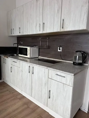 De inchiriat apartament cu o camera in zona Balcescu - imagine 5