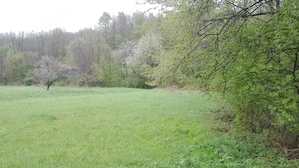 Teren intravilan la marginea râului, la doar 27 km de Deva - imagine 10