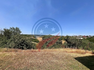 Vila cu 6camere de vanzare in Carcea/Dolj - imagine 6