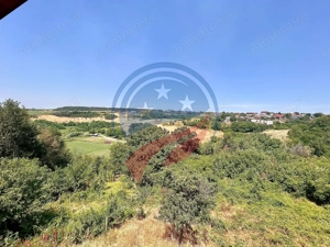 Vila cu 6camere de vanzare in Carcea/Dolj - imagine 5