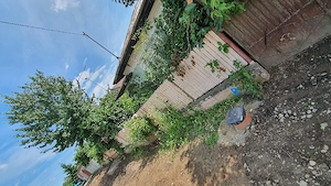 Casă cu teren 6378 mp, gaze, apă și canalizare la poartă, Brăteștii de Jos   39.999  negociabil. - imagine 2