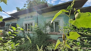 Casă cu teren 6378 mp, gaze, apă și canalizare la poartă, Brăteștii de Jos   39.999  negociabil. - imagine 6