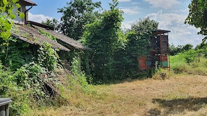 Casă cu teren 6378 mp, gaze, apă și canalizare la poartă, Brăteștii de Jos   39.999  negociabil. - imagine 8