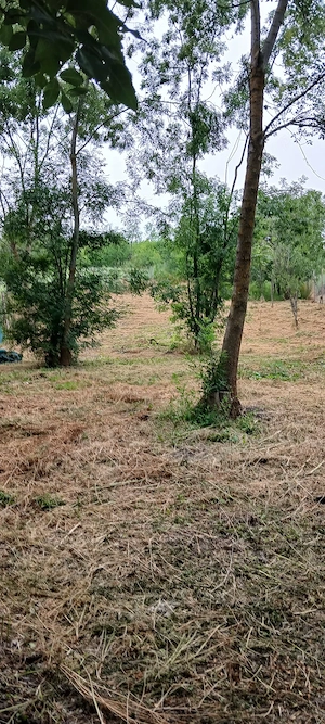 Proprietar, vând teren în suprafață de 1502 mp + casa cu teren 1870, situat în Cralovăț 