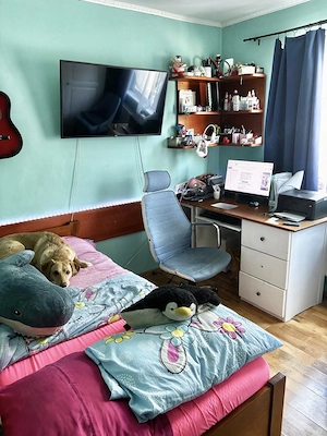 Apartament - imagine 5
