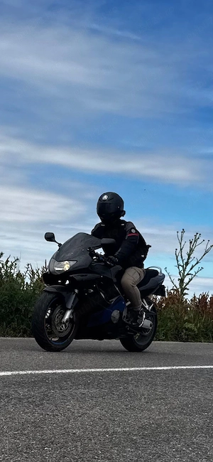 Honda Cbr 600 F4 - imagine 4