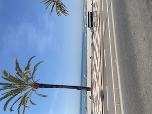 Casă de vacanță în Alicante  - imagine 2