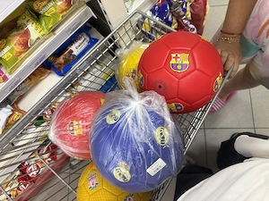 Carcea Teren de Vanzare Pret bun